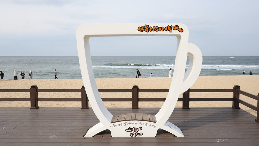 Giant coffee-cup photo frame on the Anmok Beach boardwalk in Gangneung, with the sand and the East Sea behind it