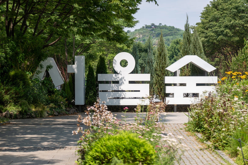 Seoul Forest Guide: Park Walks, Deer Garden, and Seongsu Stops