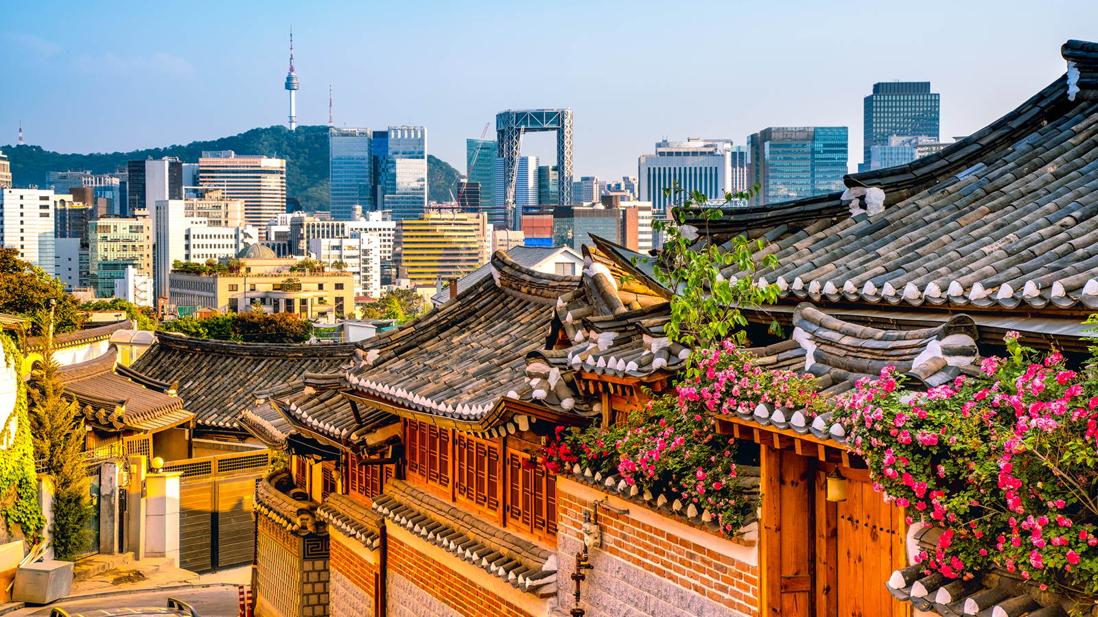Where to Travel in Korea Month by Month: An Evergreen Seasonal Guide