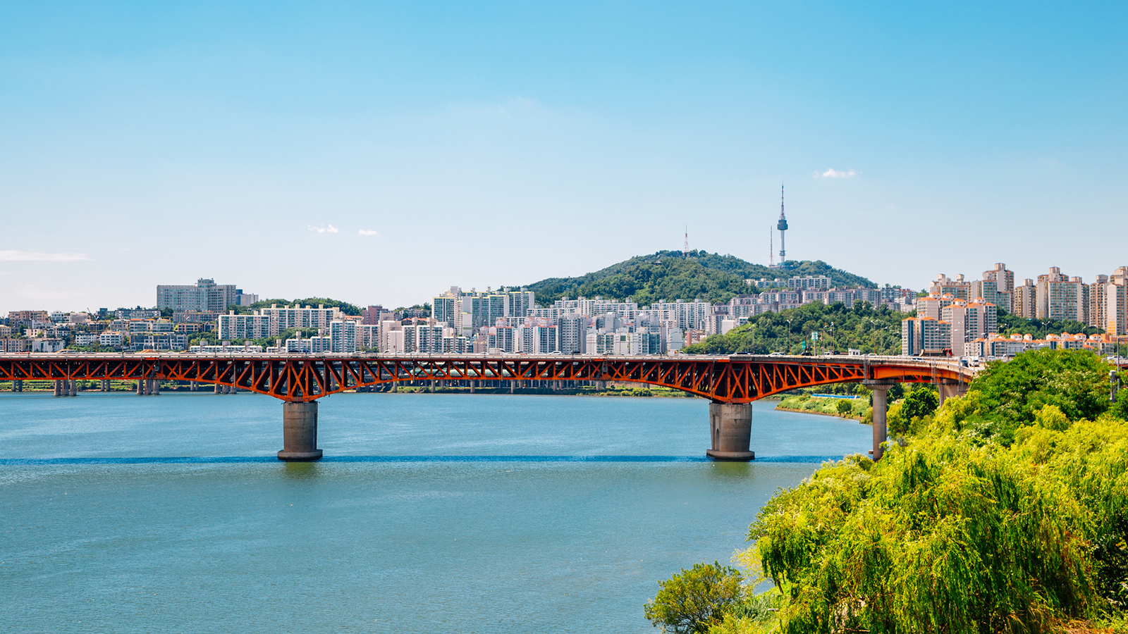 Is South Korea the Most Underrated Summer Destination?