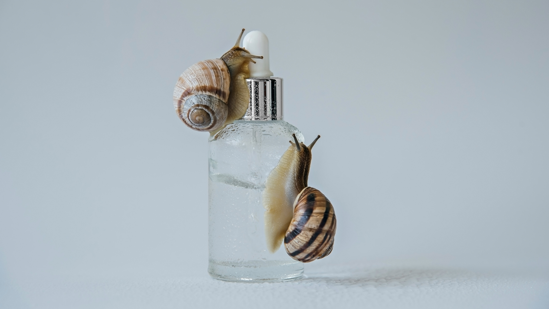 Korean Skin Barrier Routine: Microbiome-Friendly Skincare
