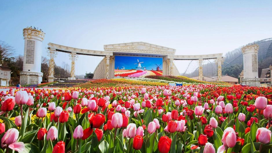 Everland Korea: The Ultimate Guide to South Korea’s Largest Theme Park