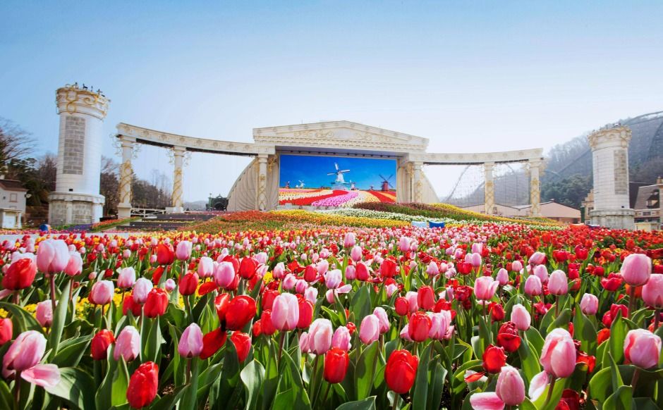Everland Korea: The Ultimate Guide to South Korea’s Largest Theme Park