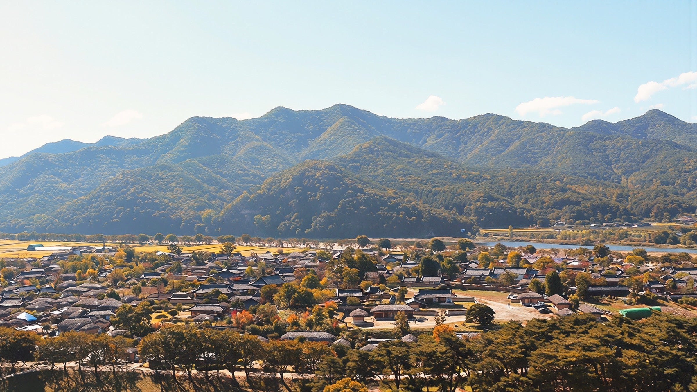 Hahoe Village in Andong seen from Buyongdae cliff, tiled roofs, pine grove and golden fields below green mountains