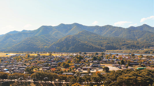 Hahoe Village in Andong seen from Buyongdae cliff, tiled roofs, pine grove and golden fields below green mountains