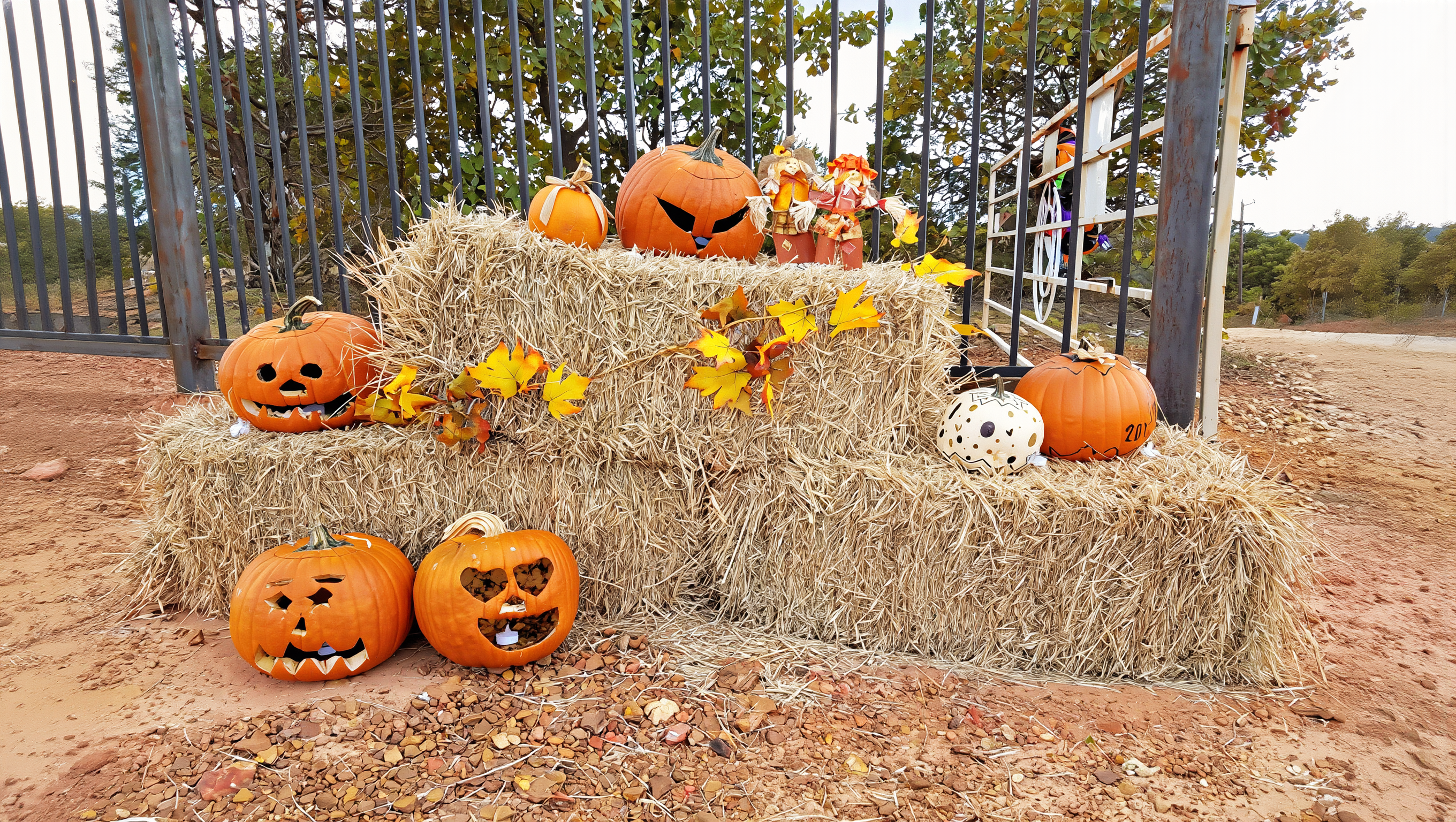 Halloween in Seoul: carved jack-o'-lanterns stacked on hay bales in bright autumn sunshine