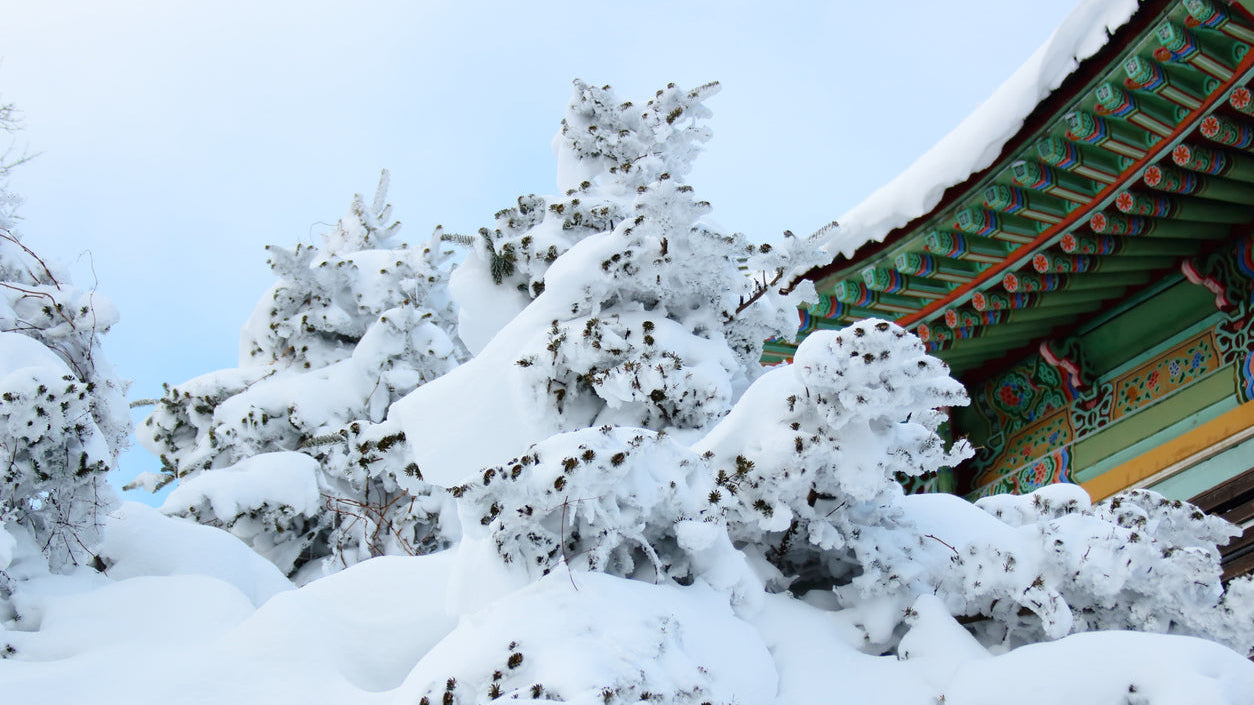 Seoul’s First Snow: Photo Spots, Traditions & Winter Skincare Tips | BEAUTIPIN