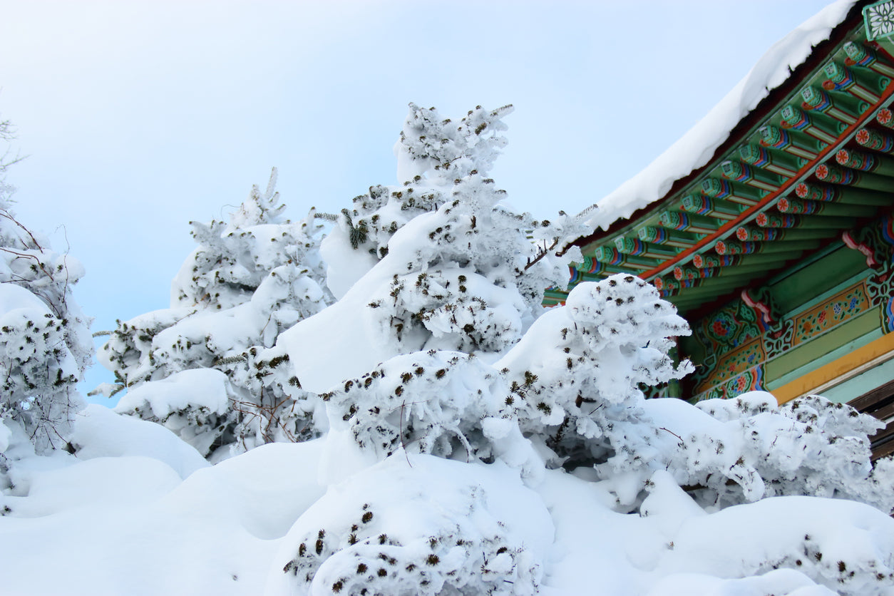 Seoul’s First Snow: Photo Spots, Traditions & Winter Skincare Tips | BEAUTIPIN