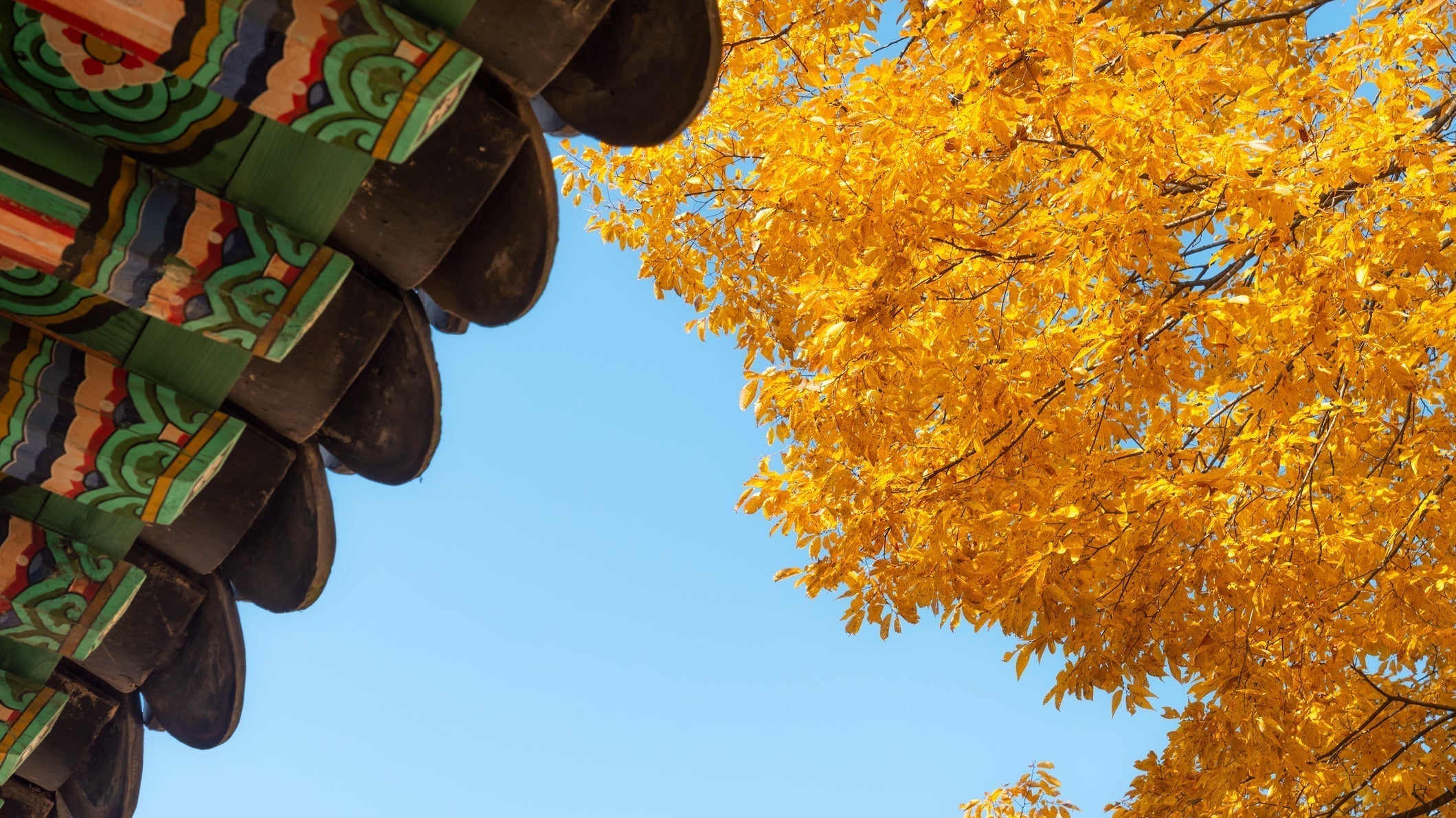 Autumn in Seoul 2025: Golden Routes & Glow Stops