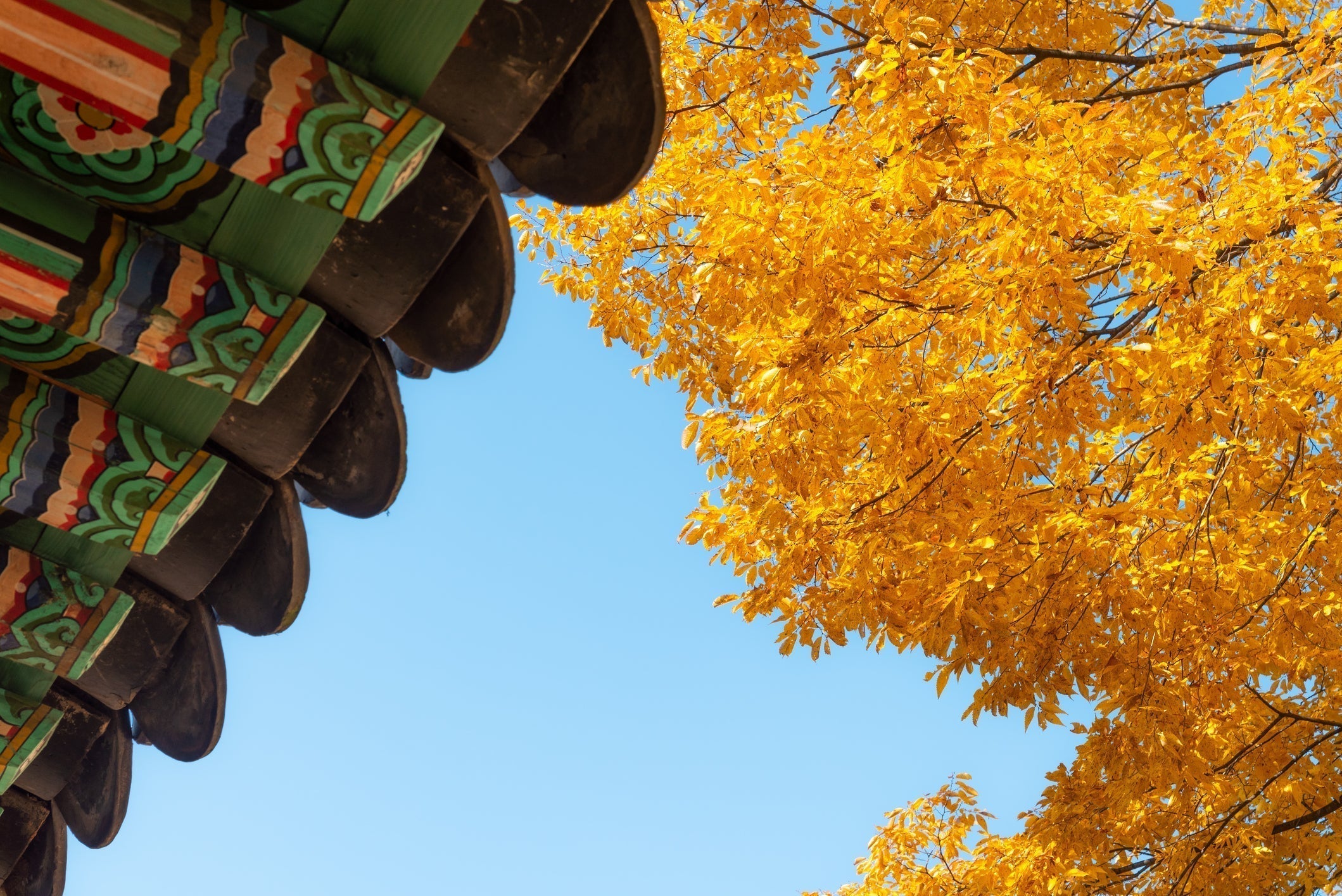 Autumn in Seoul: Golden Routes and Glow Stops