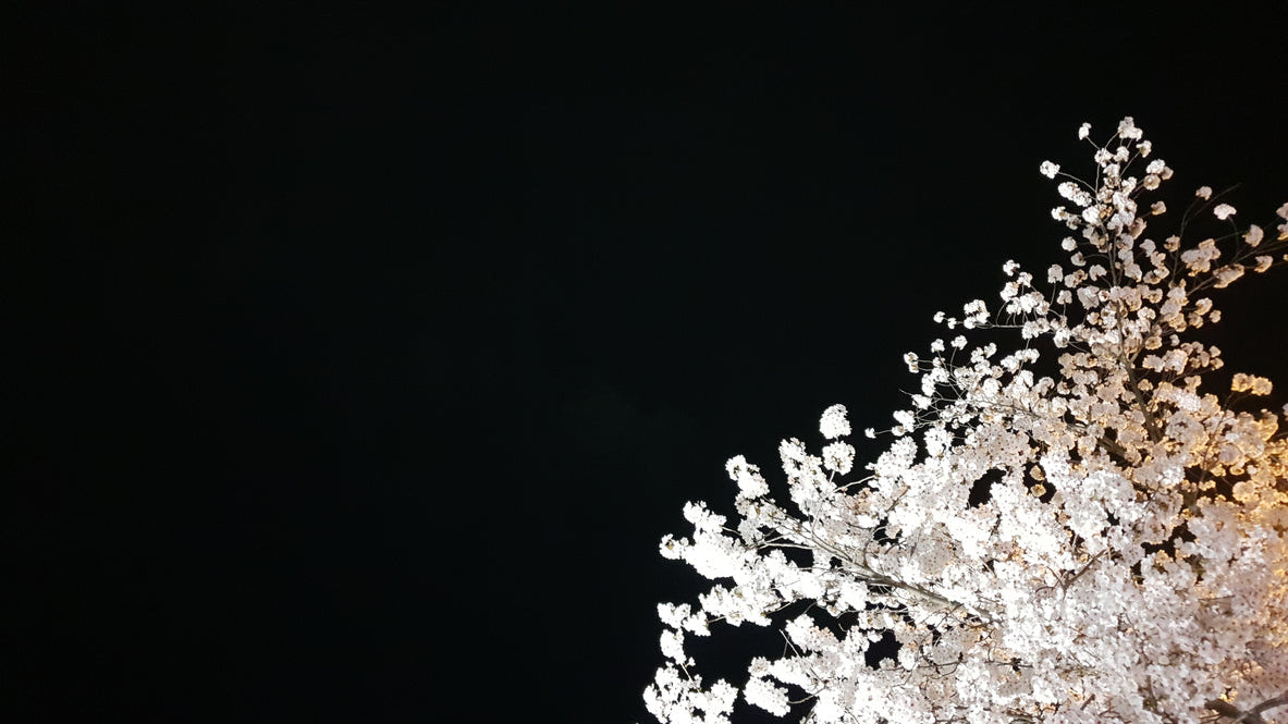 March in Seoul: The City Before Cherry Blossoms | BEAUTIPIN