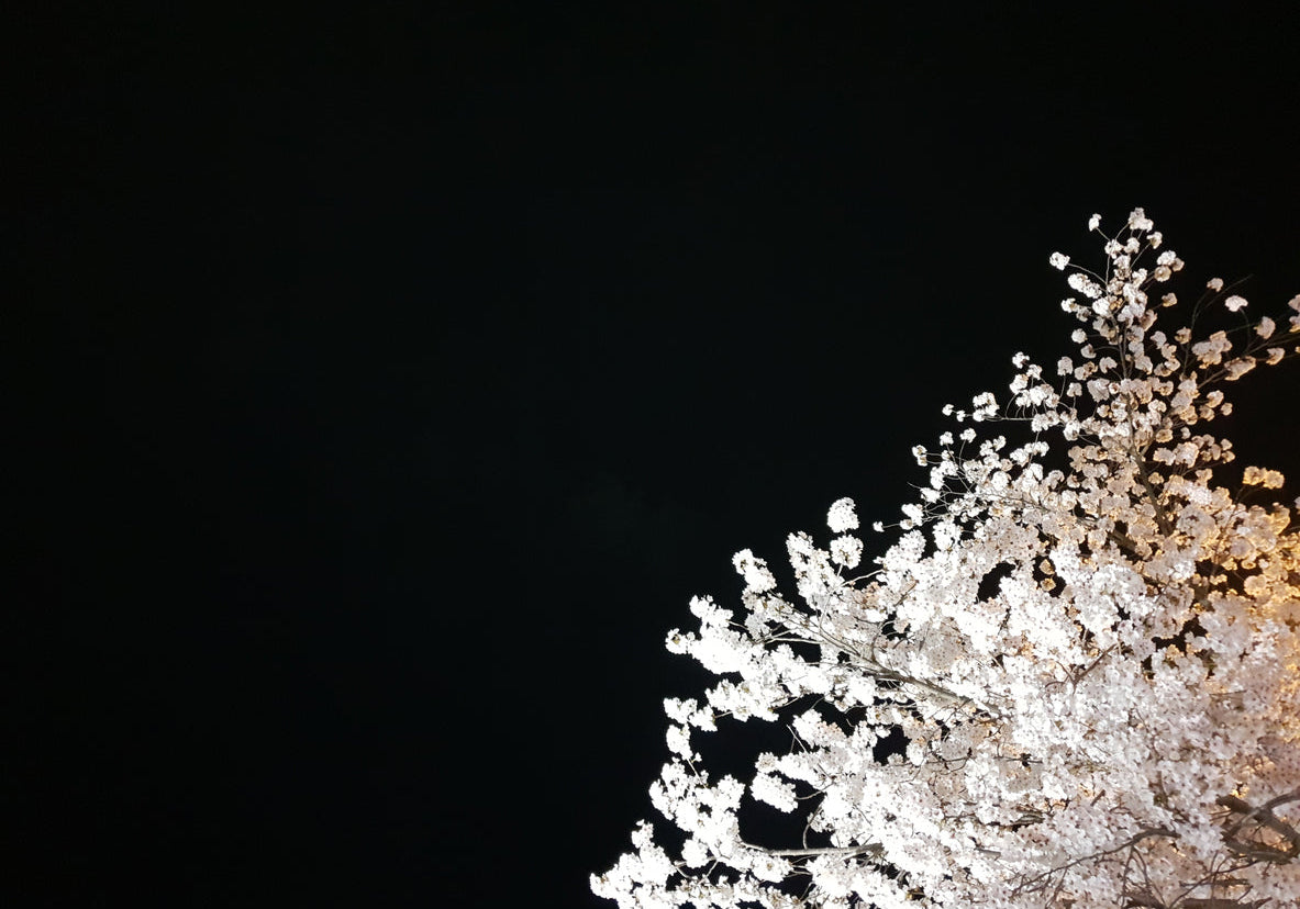 March in Seoul: The City Before Cherry Blossoms | BEAUTIPIN