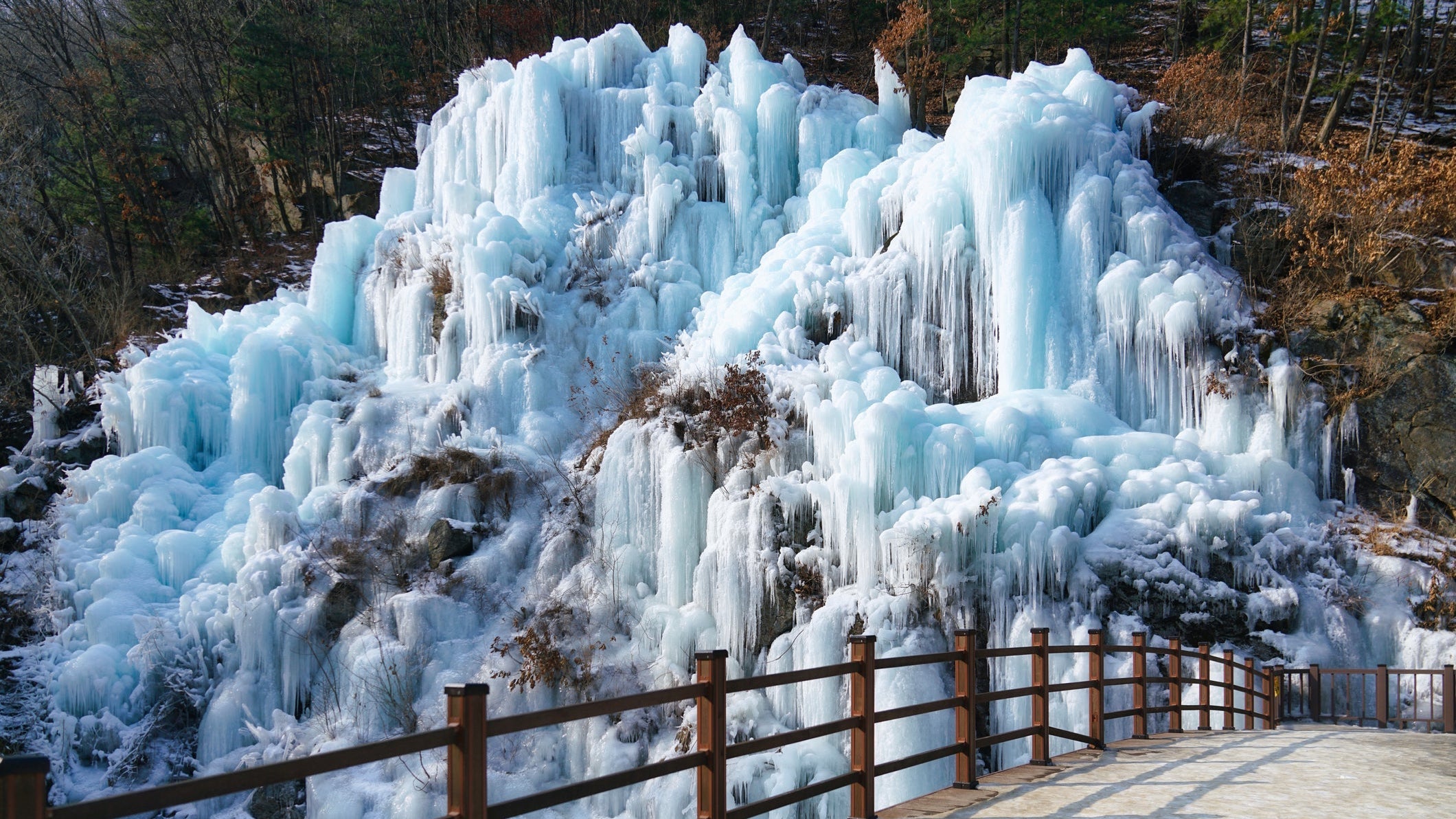 Eobi Ice Valley Day Trip: Nami Island & Rail Bike Winter Itinerary | BEAUTIPIN