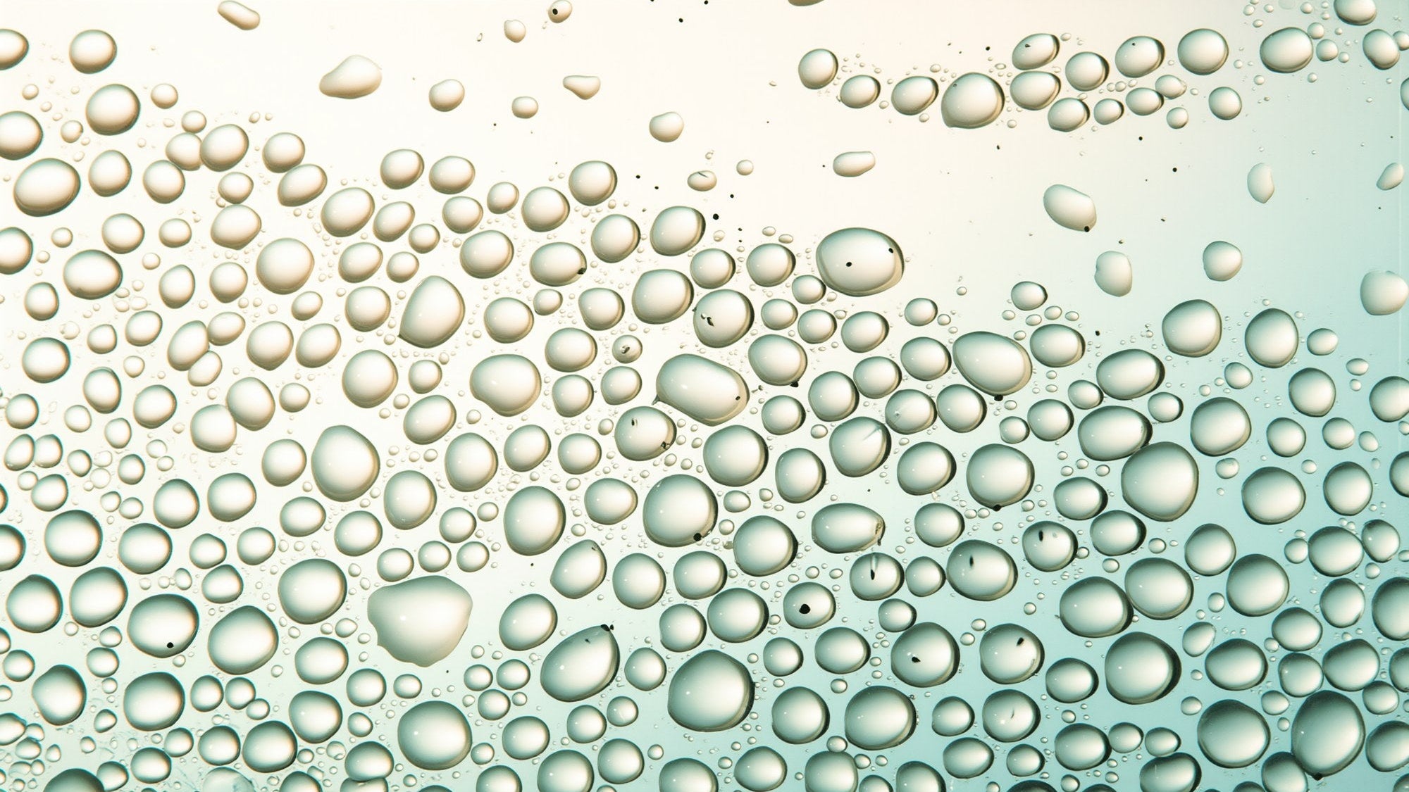 Clear water droplets of different sizes on transparent glass in soft morning light, like dewy glass skin